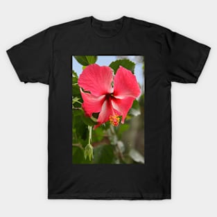 Red Hibiscus T-Shirt